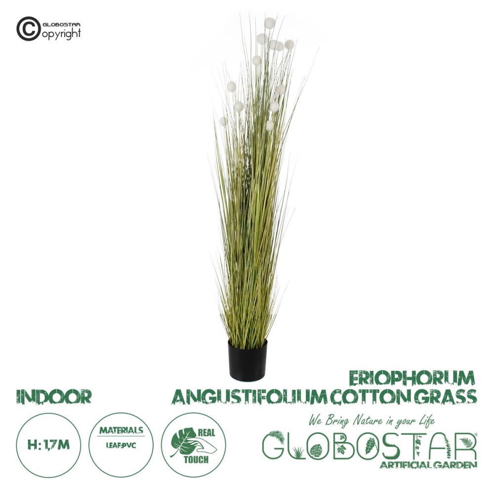 GloboStar® Artificial Garden ERIOPHORUM ANGUSTIFOLIUM COTTON GRASS 20074 Τεχνητό Διακοσμητικό Φυτό Γρασίδι του Βαμβακιού Υ170cm